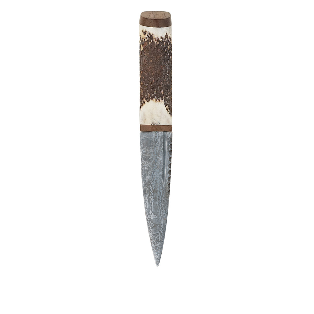 Staghorn Sgian Dubh With Walnut And Damascus Blade