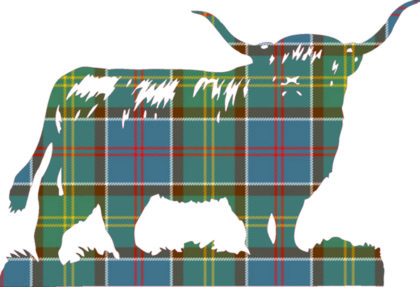Tartan Coo 5