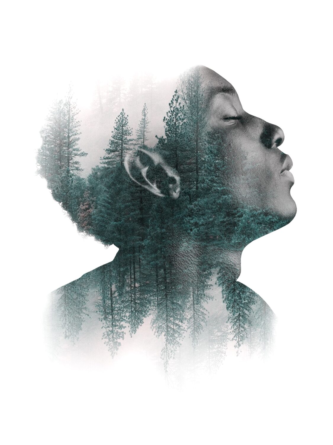 Double exposure of person’s face blended with forest trees