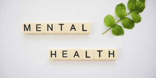 Cream letter tiles spelling “Mental Health” beside a green branch on white background